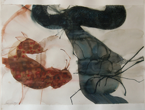 Thumbnail Placeholder